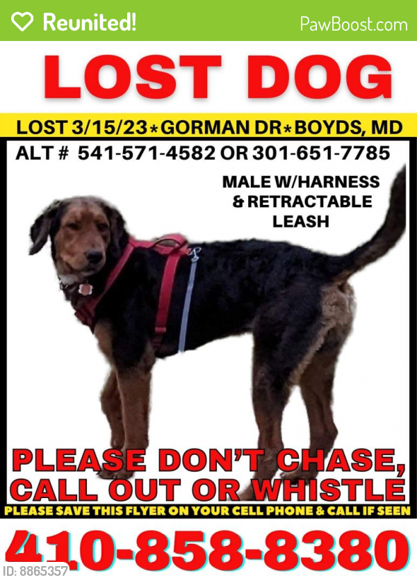 Reunited Male Dog last seen Ethel Rose Way and Surrounding , Boyds, MD 20841