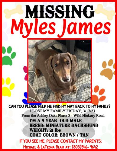 Lost Male Dog last seen Wild Hickory Lane, Blythewood, SC 29016