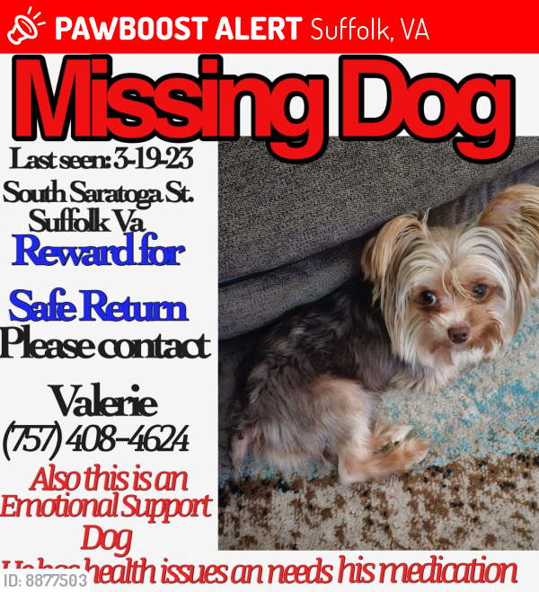 Lost Male Dog last seen Smith street, Suffolk, VA 23434