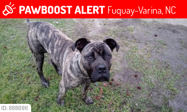Lost Male Dog last seen Near Lake Wheeler Road Fuquay-Varina , Fuquay-Varina, NC 27526