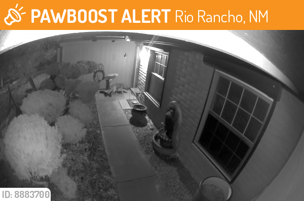 Found/Stray Unknown Dog last seen Polaris Blvd SE near 5th Ave, Star Heights Rio Rancho, NM, Rio Rancho, NM 87124