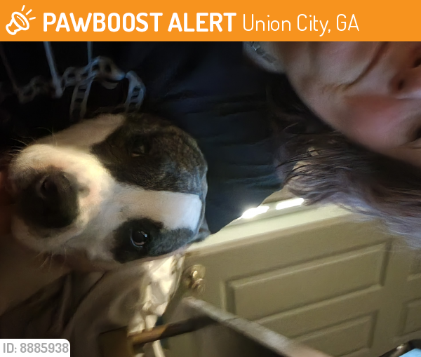Found/Stray Female Dog last seen Near Highway 138 union City Georgia 30291, Union City, GA 30291