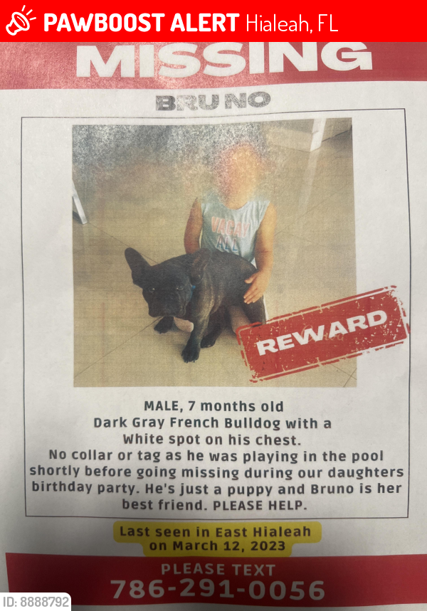 Lost Male Dog last seen Near E 60th St Hialeah, FL  33013 United States, Hialeah, FL 33013