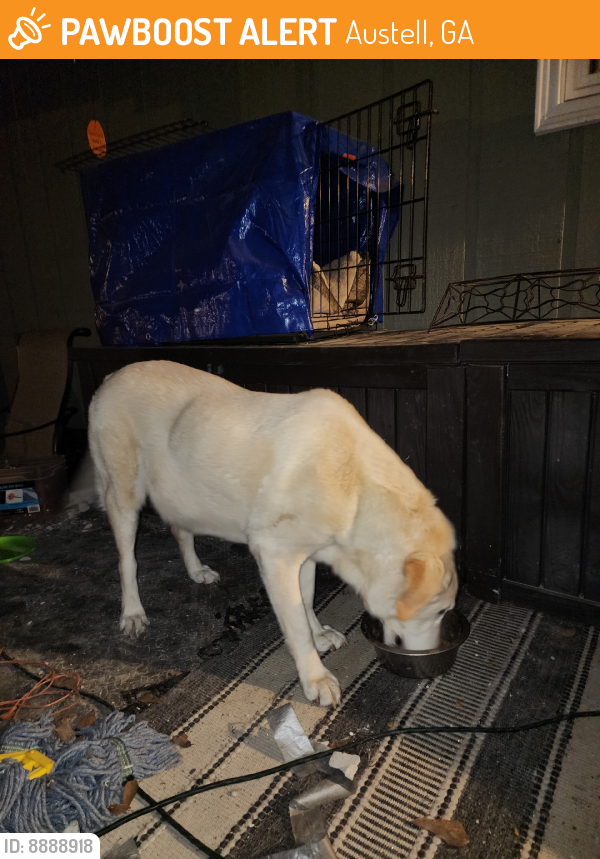 Found/Stray Unknown Dog last seen Flint Hill, Shire Ct, Austell, GA 30106