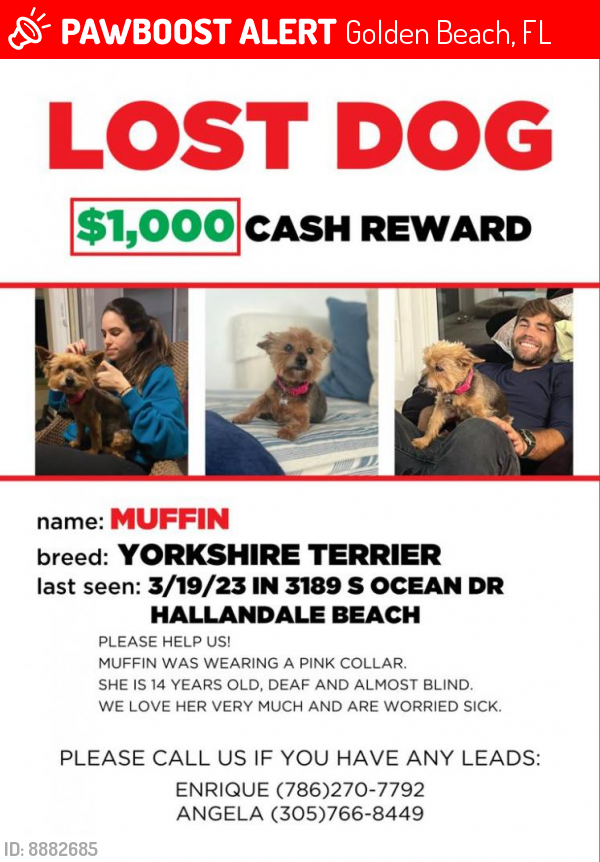 Deceased Female Dog last seen Near Golden Beach, Golden Beach, FL 33160