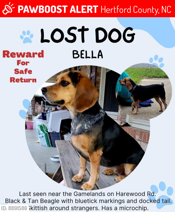Hertford County, NC Lost Female Dog, Bella Is Missing PawBoost
