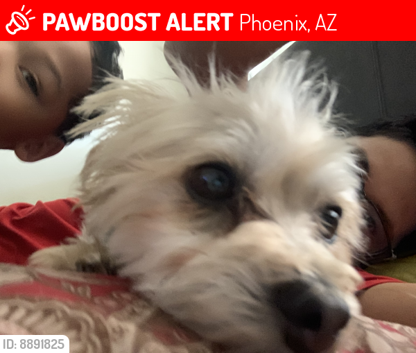 Lost Male Dog last seen Near W Berridge Ln, Phoenix, AZ 85019