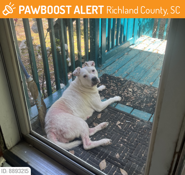 Found/Stray Female Dog last seen Cold Branch Dr, Richland County, SC 29223