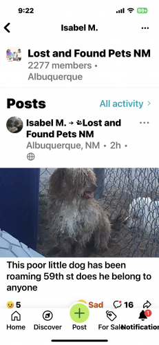 Found/Stray Male Dog last seen 59th and Fortuna 87105, Sandoval County, NM 87144