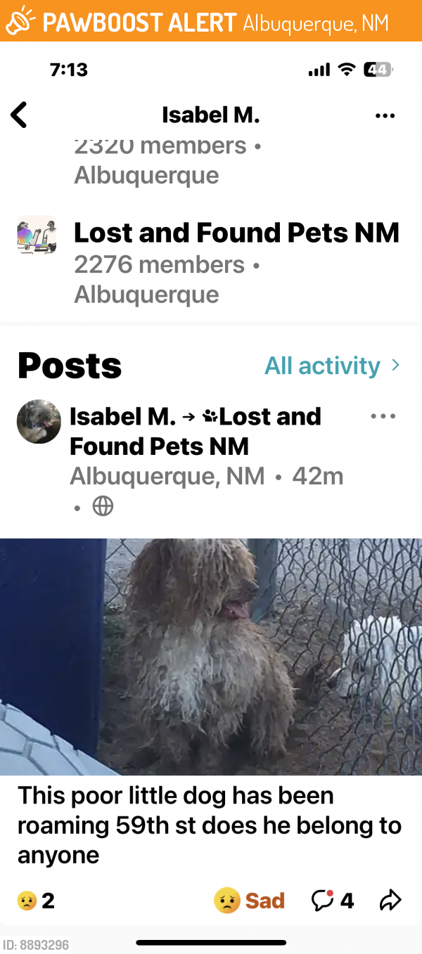 Rehomed Male Dog last seen 59th and Fortuna, Albuquerque, NM 87105