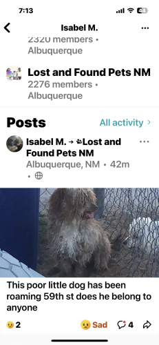 Found/Stray Male Dog last seen 59th and Fortuna, Albuquerque, NM 87105