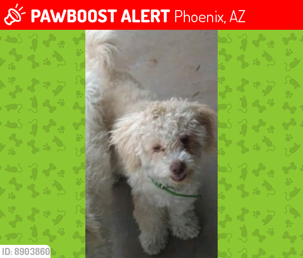 Lost Female Dog last seen Near W Roosevelt ST in Capri Mobile  Park, Phoenix, AZ 85009