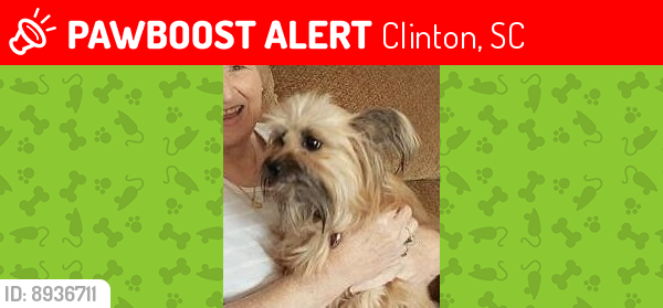 Lost Female Dog last seen State Road S-30-385, Clinton, SC 29325
