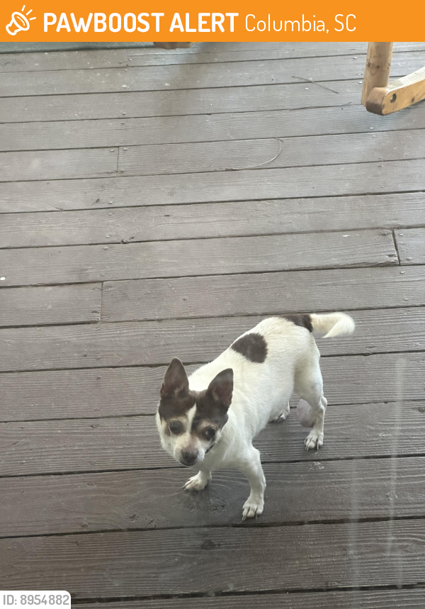 Found/Stray Male Dog last seen Near west springs road, Columbia, SC 29223