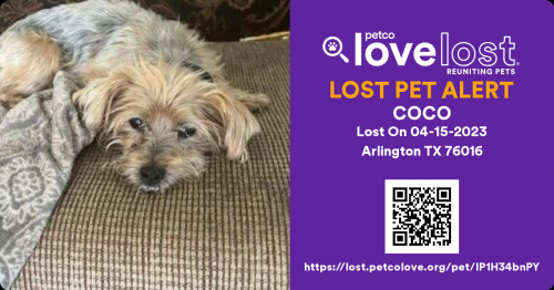 Lost Female Dog last seen Shorewood Drive, Arlington, TX 76016