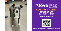 Reunited Female Dog last seen Near W Poinsettia Dr, Phoenix, AZ 85029, USA, Phoenix, AZ 85029
