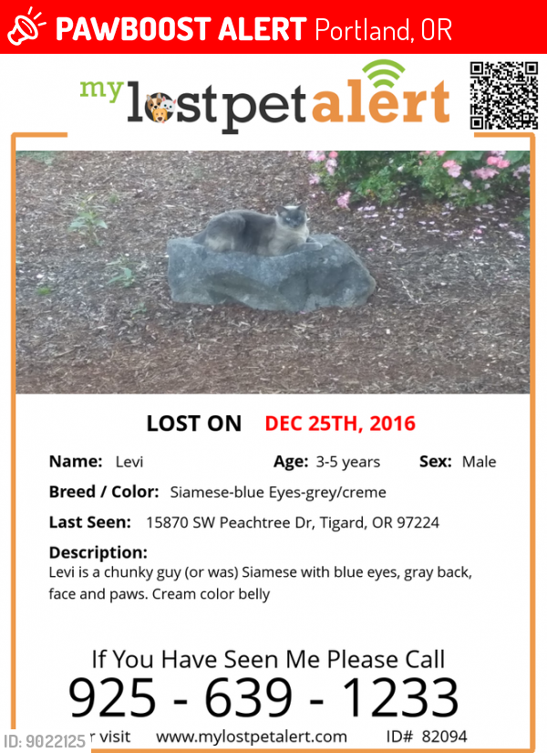 Lost Male Cat last seen Colyer Way/Bull Mountain Rd., Portland, OR 97223