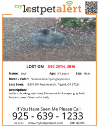 Lost Male Cat last seen Colyer Way/Bull Mountain Rd., Portland, OR 97223