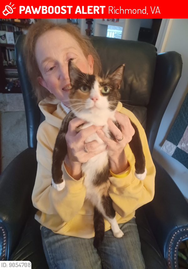 Lost Female Cat in Richmond, VA 23229 Named Nacha Mama (ID 9054708