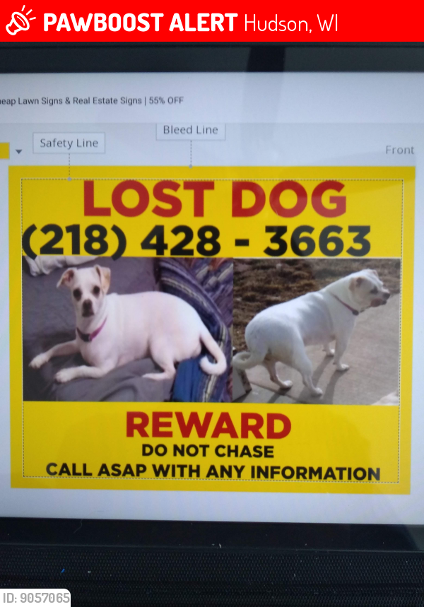 Lost Female Dog last seen Vine Street & Diamond Drive, Hudson, WI 54016