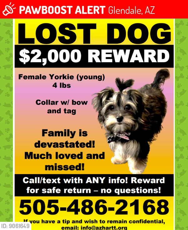 Lost Female Dog last seen 79th utopia , Glendale, AZ 85308