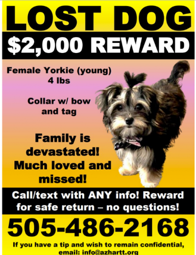 Lost Female Dog last seen 79th utopia , Glendale, AZ 85308