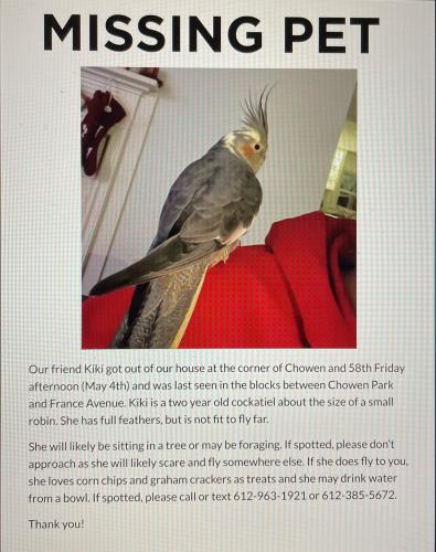 Lost Female Bird last seen Chowen Park Edina, Minnesota, Edina, MN 55410