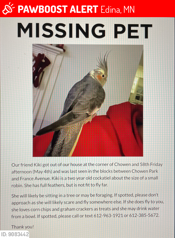 Lost Female Bird last seen Chowen Park Edina, Minnesota, Edina, MN 55410