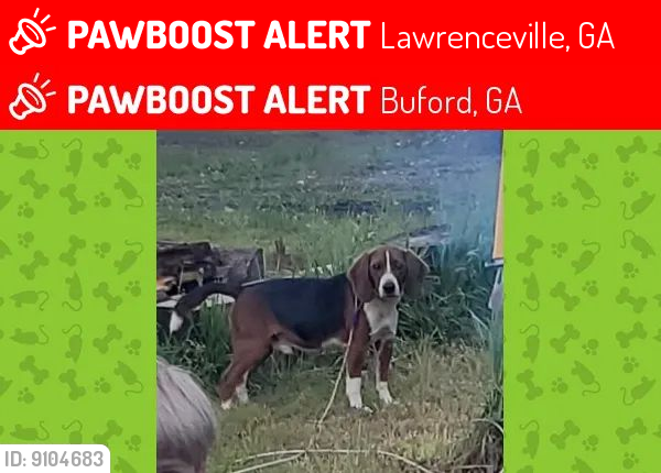 Lost Male Dog last seen Near alpha dr. Lawrenceville,  ga, Gwinnett County, GA 30043