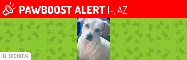 Lost Male Dog last seen I-17 AND CACTUS RD WESTBOUND, Phoenix, AZ 85029