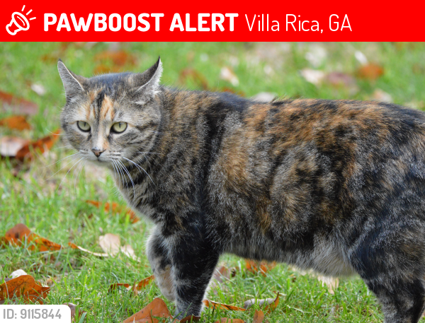 Lost Female Cat last seen Near Highpoint/Friendship Church Rd, Villa Rica, GA 30180