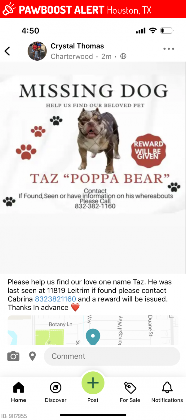 Lost Male Dog last seen Near Leitrim way, Houston, TX 77047