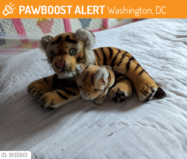 Found/Stray Female Cat last seen Dexter Terrace SE and Talbert Terrace SE., Washington, DC 20020
