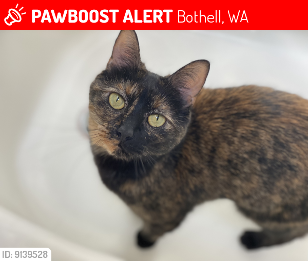 Lost Female Cat last seen 39th & 212th, Bothell, WA 98021