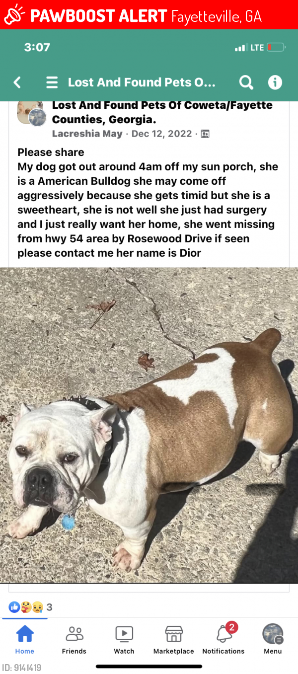 Fayetteville, GA Lost Female Dog, Dior Is Missing | PawBoost