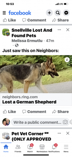 Found/Stray Unknown Dog last seen Snellville, Snellville, GA 30078