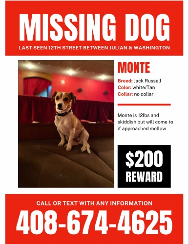 Lost Male Dog last seen 12th & Julian, San Jose, CA 95112
