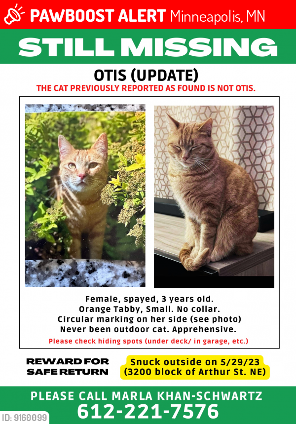 Lost Female Cat last seen 32nd and Arthur Street NE, Minneapolis, MN 55418