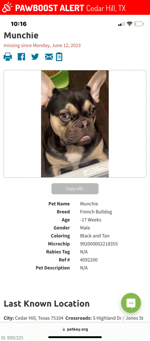 Lost Male Dog last seen S Highland Dr/Jones St, Cedar Hill, TX 75104