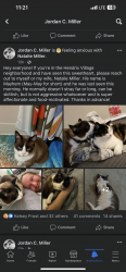 Lost Male Cat last seen Hanover Place & Hendrix Drive, Oak Ridge, TN 37830