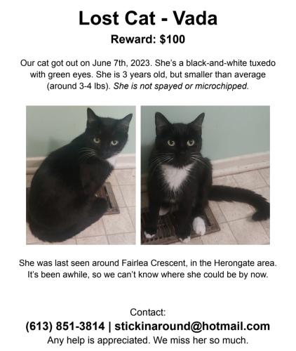 Lost Female Cat last seen Fairlea Crescent  and Heatherington Road, Ottawa, ON K1V