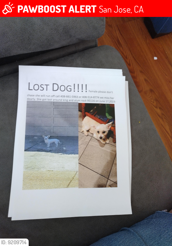 Lost Female Dog last seen King Rd and alum rock ave, San Jose, CA 95116