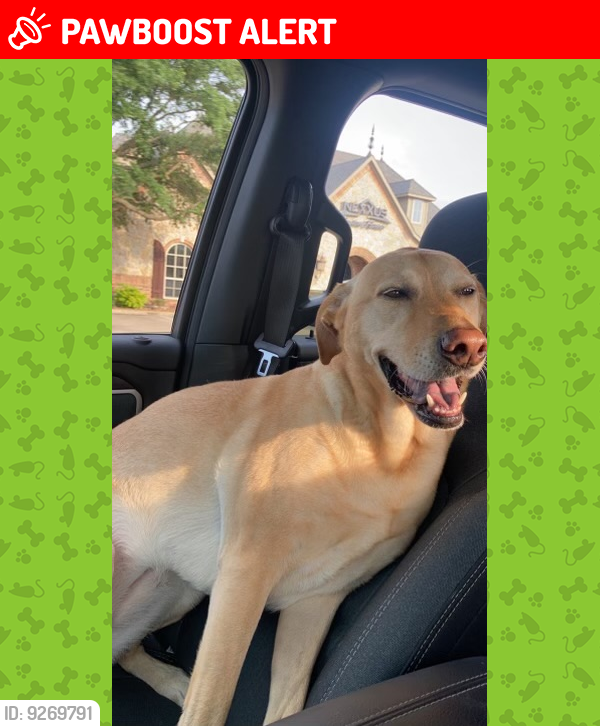 Lost Female Dog last seen Seadrift & Old Oaks (Fieldcrest Subdivision), Kaufman County, TX 75126