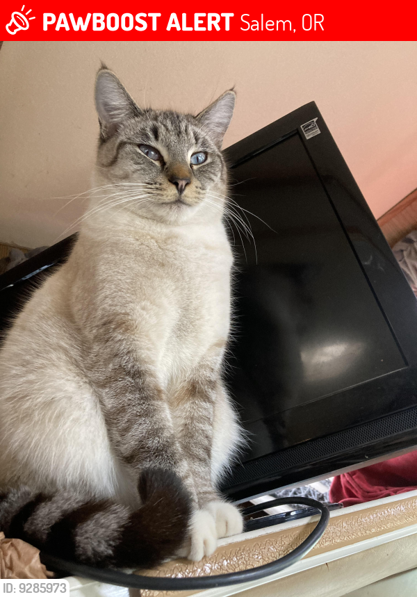 Lost Male Cat last seen Bluff Ave SE, Cedar Way SE and Pheasant Ave , Salem, OR 97302