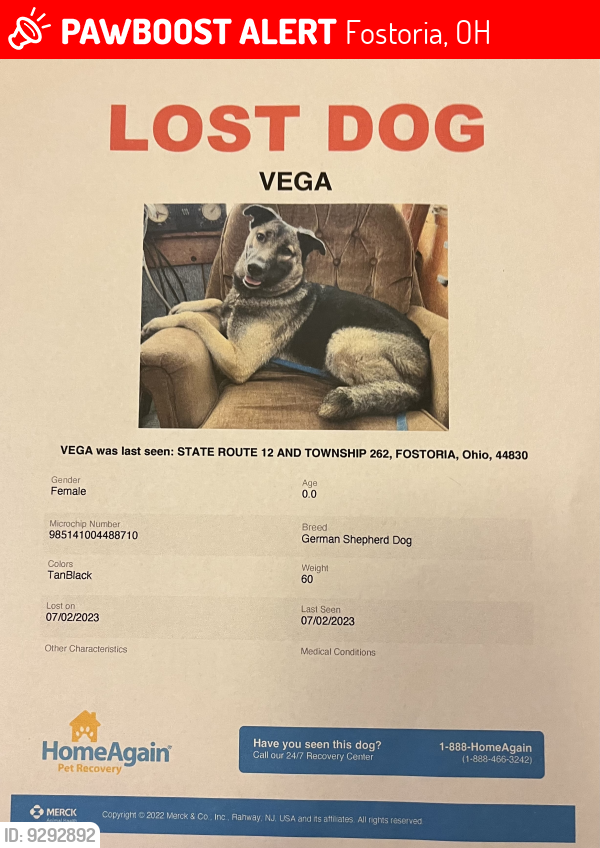 Lost Female Dog last seen 261, Wedge Lumber & Supply , Fostoria, OH 44830