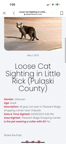 Lost Male Cat last seen Chenal Parkway , Little Rock, AR 72211