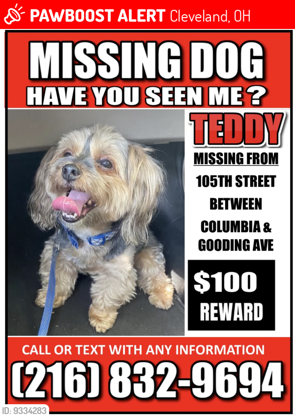 Lost Male Dog last seen St clair, Cleveland, OH 44108
