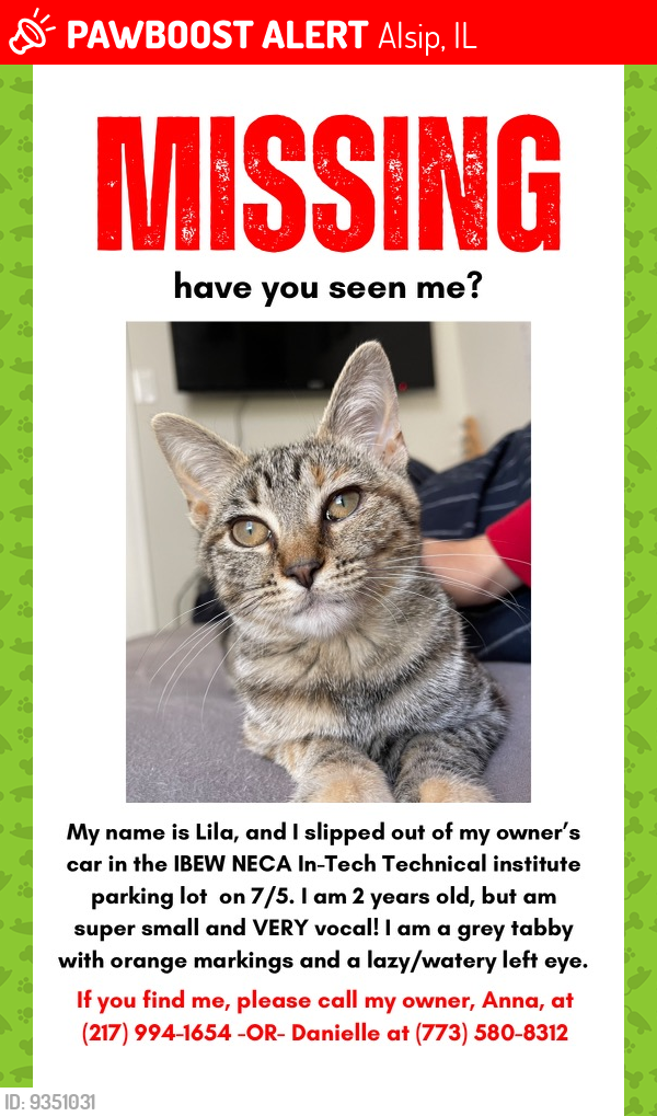 Lost Female Cat last seen 115th & Ridgeland, Alsip, IL 60803