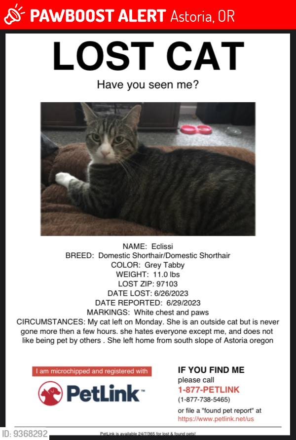 Astoria, OR Lost Female Cat, Eclissi Is Missing | PawBoost