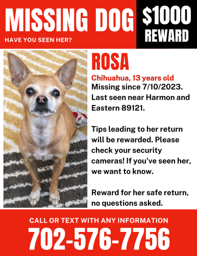 Lost Pets in Las Vegas, NV - Find Missing Pets